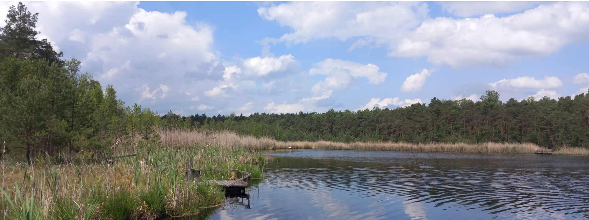 Konkurs dla uczniów szkół ponadpodstawowych pn. 